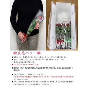 生花 贈呈花 バラ 1輪 価格は1本分 ※10...の詳細画像2