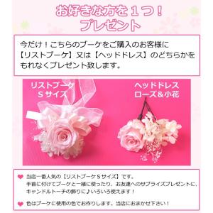 送料無料 一部地域を除く 只今プレゼント付き ...の詳細画像1