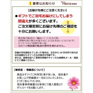 送料無料 一部地域を除く 只今プレゼント付き ...の詳細画像4