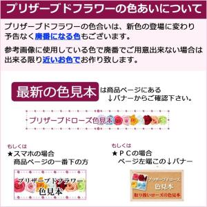 定番 送料無料 一部地域を除く 只今プレゼント付き ブーケ ブートニア プリザーブド ブーケ ロマンティックピンクｄｘパール リボン ラウンドブーケ ロマンティックピンクｄｘパール リボン Pb659y あれんじhana倶楽部 プリザーブド ブーケ 直径