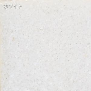 固まる カラーサンド 280g ホワイトの商品画像