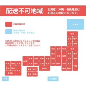 アイビー ヘデラ 小苗 3号 9cm ポットの詳細画像3