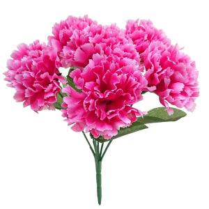 多肉植物 セダム属 銘月 めいげつ カット極小苗 meigetu0624 : 花と緑