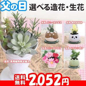 遅れてごめんね母の日 カーネーション5号 選べる生花、造花 ...