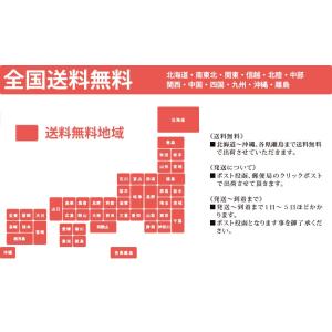 多肉植物 プリドニスクリスエックス エケベリア...の詳細画像4