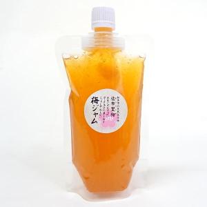 無添加はっちゃんの美味しいおうめさんゴロゴロジャムを３冷やして美味しい！ 無添加はっちゃんの美味しいおうめさんゴロゴロジャムを3冷やし