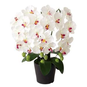 花と緑のはなここ - Yahoo!ショッピング