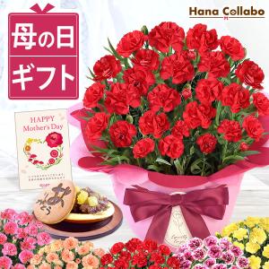 母の日ギフト 花 カーネーション 鉢植え プレゼントランキ...