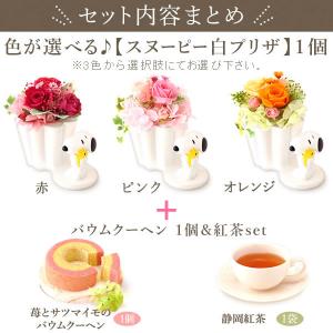 母の日 スヌーピー ギフト 花とスイーツ 20...の詳細画像1