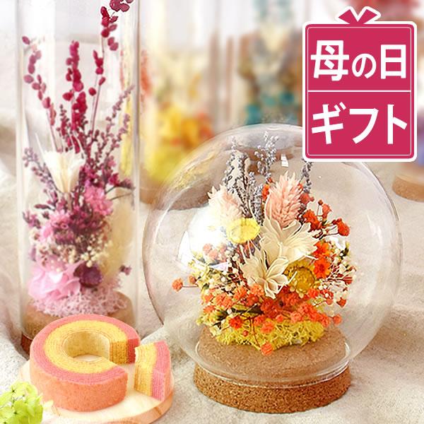 母の日 ドライフラワー ギフト ドーム 花とスイーツ 花とお菓子 2026 花 プレゼント お菓子 ...