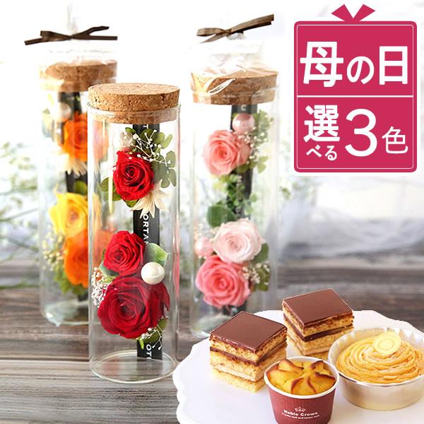 母の日 プリザーブドフラワー 2026 バラ ギフト 洋菓子 お菓子 花とスイーツ 花とお菓子 メッ...