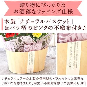 誕生日 花 バラ 鉢植え ギフト 花鉢 ミニバ...の詳細画像1