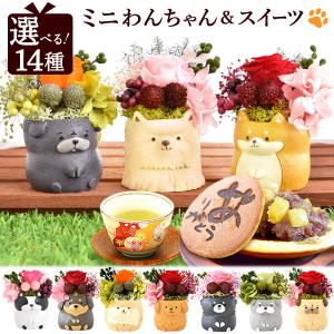 誕生日プレゼント プレゼント 花 ギフト 犬 プレゼント お菓子 プリザーブドフラワー バラ 洋菓子 花とスイーツ かわいい 犬好き 60代 70代 80代｜hana-collabo