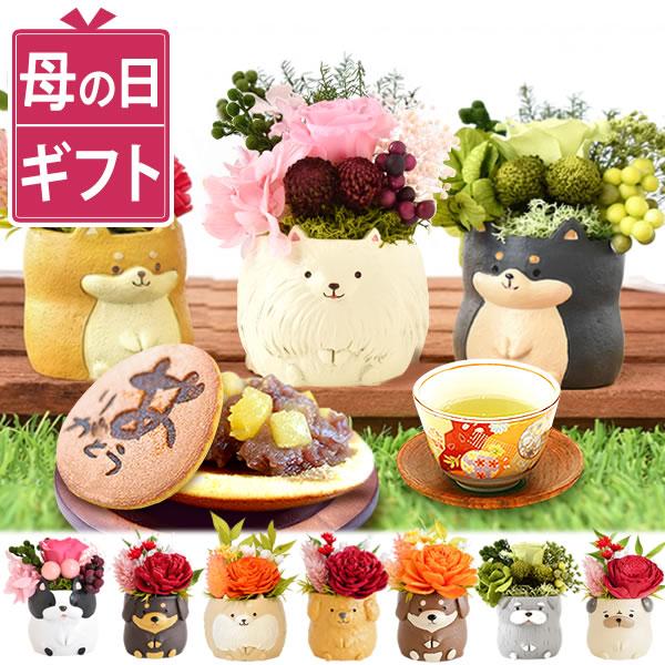 母の日 ギフト 花 花とスイーツ プリザーブドフラワー バラ スイーツ 2026 お菓子 和菓子 食...