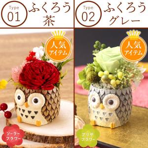 誕生日 プレゼント 猫 ギフト 女性 花 バラ...の詳細画像3