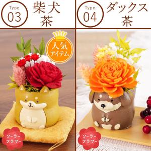 誕生日 プレゼント 猫 ギフト 女性 花 バラ...の詳細画像4