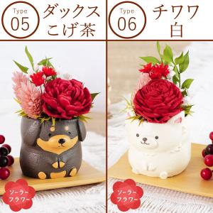 誕生日 プレゼント 猫 ギフト 女性 花 バラ...の詳細画像5