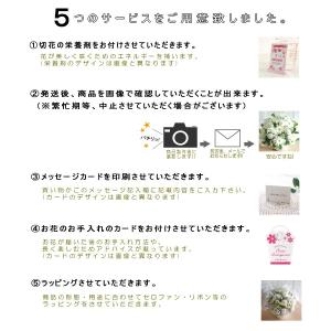 お供え お悔み 選べる2色 生花 ボックスフラ...の詳細画像2