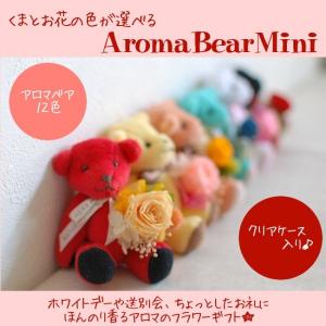 プリザーブドフラワー アロマベア ミニ 全12色...の商品画像
