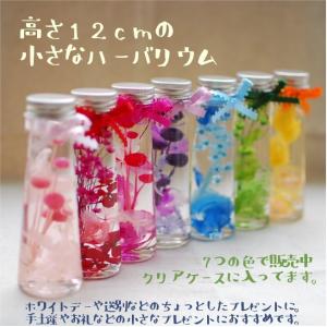 ホワイトデーや送別に 小さなボトルのハーバリウム SSサイズ 50ml 送料無料 並べて飾るととってもかわいいレインボーカラー