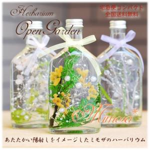 ミモザのハーバリウム 200ml 送料無料 ホワイトデーやお誕生日に OpenGardenシリーズ 銀葉アカシア