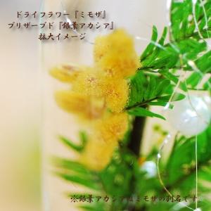 ミモザのハーバリウム 200ml 送料無料 ホ...の詳細画像3