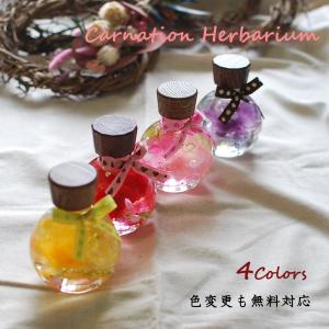 クリスマス ツリーハーバリウム Sサイズ 100ml 送料無料 すっきり
