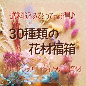 ハーバリウム キャンドル手作り用花材の詰め合わせ...の商品画像