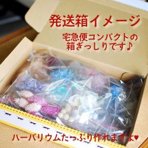ハーバリウム キャンドル手作り用花材の詰め合わ...の詳細画像5