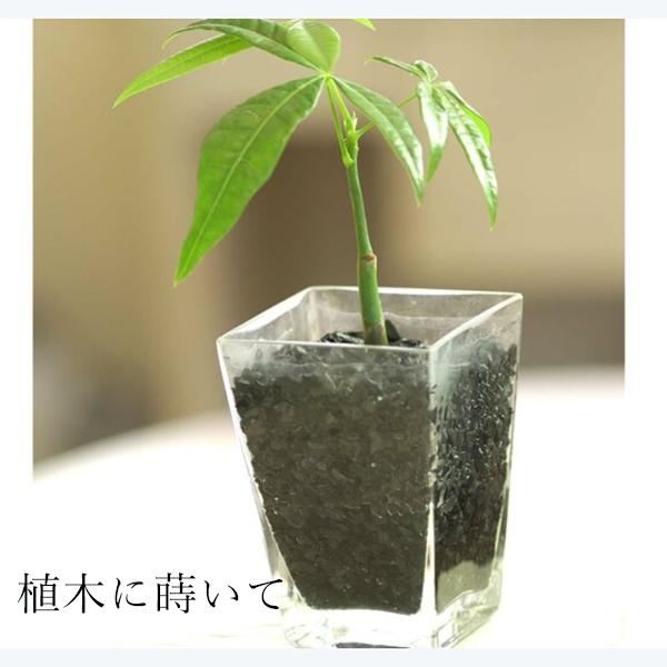 備長炭 粒 びんちょうたん 花瓶 グラス 水槽 植木鉢 空気 キレイ 水質 浄化 お部屋 置き炭 イ...