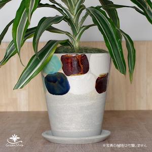 ボヘミアングラス 500PKカット 花瓶（フラワーベース） : コリーネ