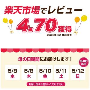 母の日 ギフト 花 カーネーション 2024 ...の詳細画像2