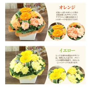 花 誕生日 プレゼント 女性 フラワーギフト ...の詳細画像4