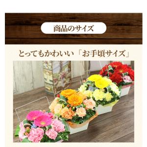 花 誕生日 プレゼント 女性 フラワーギフト ...の詳細画像5