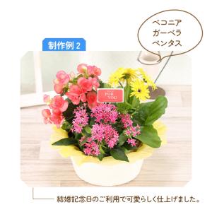 誕生日 花 プレゼント 2024 花鉢 ギフト...の詳細画像5