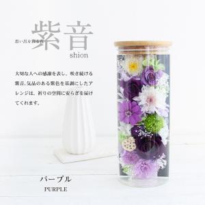 紫音 しおん プリザーブドフラワー お供え お...の詳細画像1