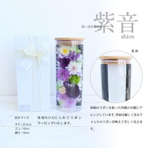 紫音 しおん プリザーブドフラワー お供え お...の詳細画像5