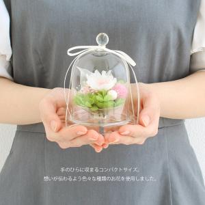 葵音(あのん) プリザーブドフラワー ガラスド...の詳細画像3