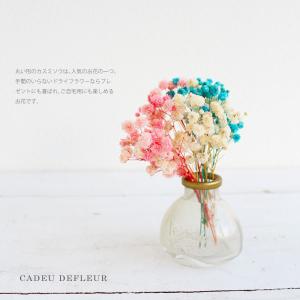 カスミソウ ドライフラワー ミニブーケ タイニ...の詳細画像2