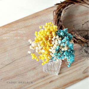 カスミソウ ドライフラワー ミニブーケ タイニ...の詳細画像3