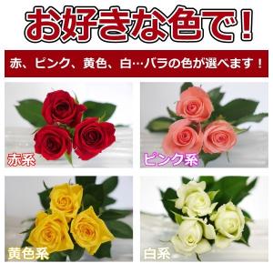 バラ 花束 20本 3980円 100本まで本...の詳細画像3