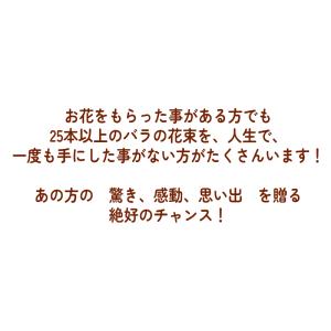 ピンク バラ 25本 お祝 還暦祝い 60本 ...の詳細画像2