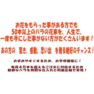 バラ花束 50本 花色おまかせ 還暦祝い プロ...の詳細画像5