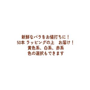 ピンク バラ 50本 お祝 還暦祝い 60本 ...の詳細画像4