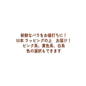 赤いバラ 50本 お祝 還暦祝い 60本 結婚...の詳細画像4