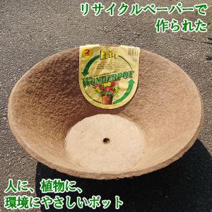 エリン ワンダーポット ボウル型 50cm リサイクルペーパー ナチュラル　植木鉢｜hana-road
