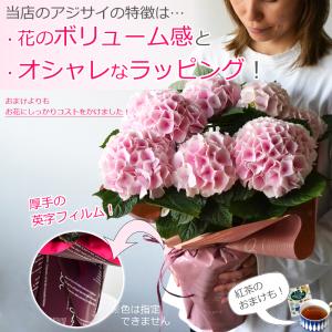 遅れてごめんね 母の日 紫陽花 プレゼント あ...の詳細画像1