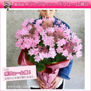 遅れてごめんね 母の日 紫陽花 プレゼント あ...の詳細画像2