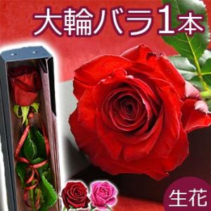 大輪バラ 1本BOX 薔薇 バラ 花束 結婚記念日 誕生日 プレゼント バレンタイン プロポーズ 1本束 退職祝い お祝い