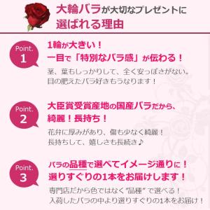 赤バラ 1本 BOX 結婚記念日 プレゼント ...の詳細画像1
